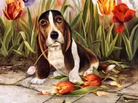 Пазл Грустный бассет