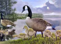 Пазл Гуси и птенцы