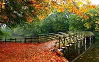 Пазл Hartsholme Country Park