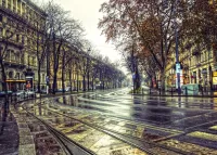 Пазл Хмурое утро