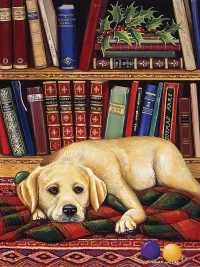 Пазл Хочу играть