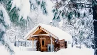 Пазл House in Winter