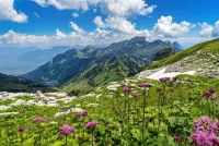Пазл Хребет Курфирстен