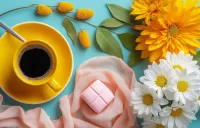 Пазл Хризантемы 