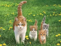 Пазл Хвост трубой