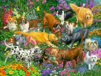 Пазл Игры на клумбе