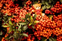 Пазл Игрушка и ягоды