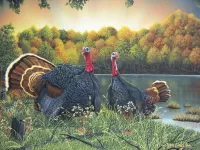 Пазл Индюки