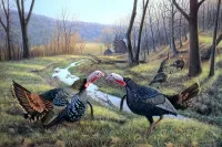 Пазл Индюки