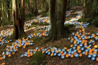 Пазл Инсталляция