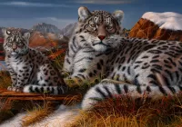 Пазл Ирбисы