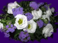 Пазл Ирландская роза