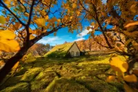 Пазл Исландская осень