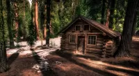 Пазл Изба в лесу