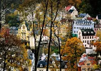 Пазл Карловы Вары, Чехия