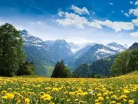 Пазл Карпаты