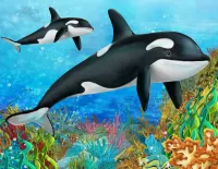 Пазл Касатки