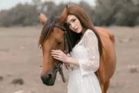 Пазл Каштановый цвет