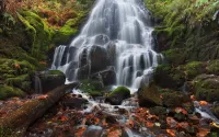Пазл Каскадный водопад