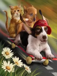 Пазл Катаемся на скейте