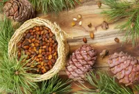 Пазл Кедровые шишки