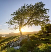Пазл Killarney