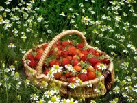 Пазл Клубника