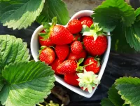 Пазл Клубника