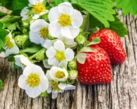 Пазл Клубника