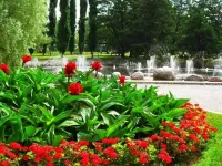 Пазл Клумба у фонтана