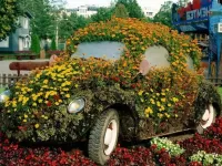 Пазл Клумба жук