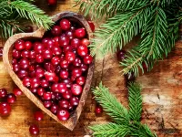 Пазл Клюква