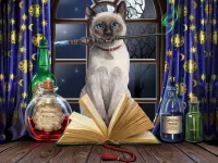 Пазл Книга заклинаний