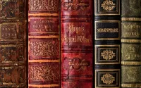 Пазл Книги