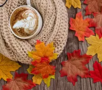 Пазл Кофе в шарфе