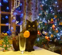 Пазл Коктейль для кота