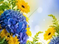 Пазл Коллаж