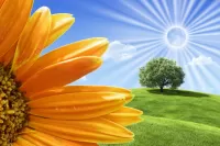 Пазл Коллаж