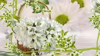 Пазл Коллаж с подснежниками