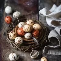 Пазл Конфеты в гнезде