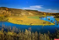 Пазл Кони у реки