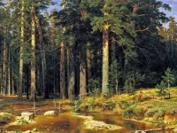 Пазл Корабельная роща