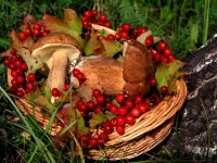 Пазл Корзина с грибами