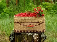 Пазл Корзина с земляникой
