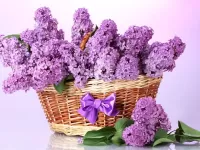 Пазл Корзина сирени