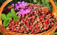 Пазл Корзинка лета
