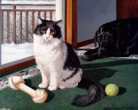 Пазл Кошка и косточка