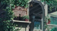 Пазл Кошка у входа