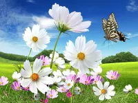 Пазл Космеи и бабочка
