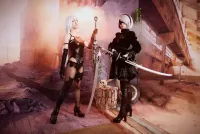 Пазл Косплей